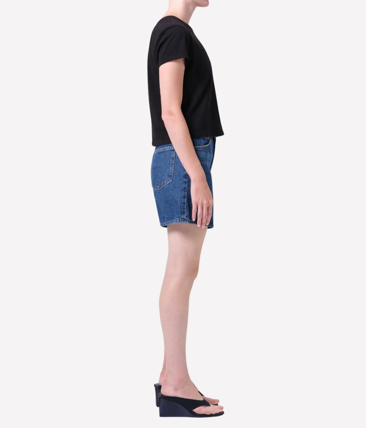 Dame Short in Enamour