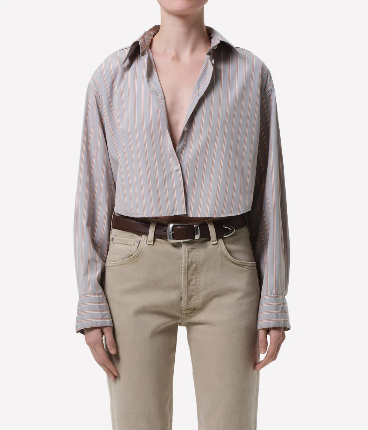 Ana Cropped Shirt in Nobel Stripe
