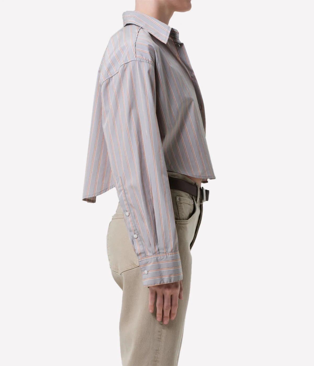 Ana Cropped Shirt in Nobel Stripe