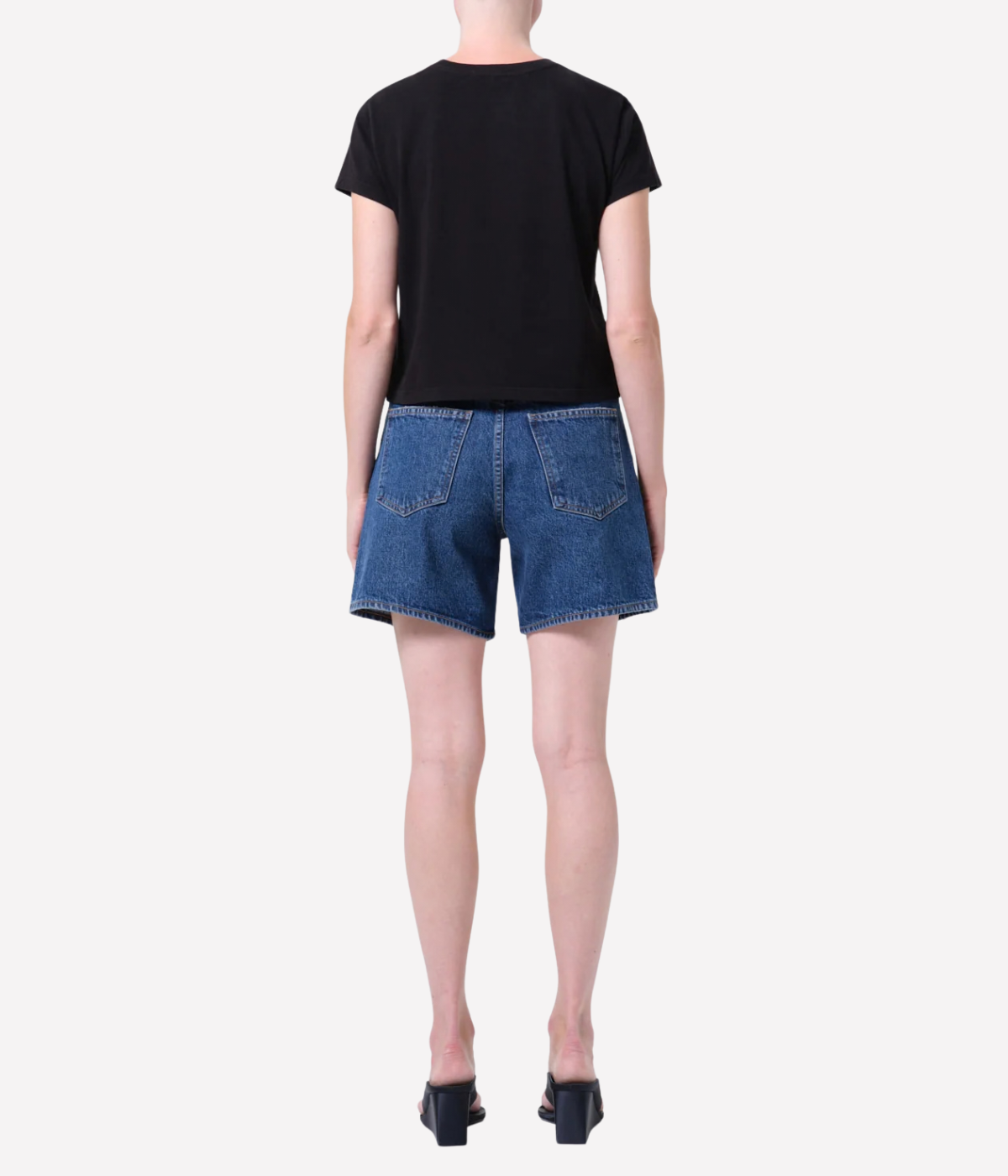 Dame Short in Enamour