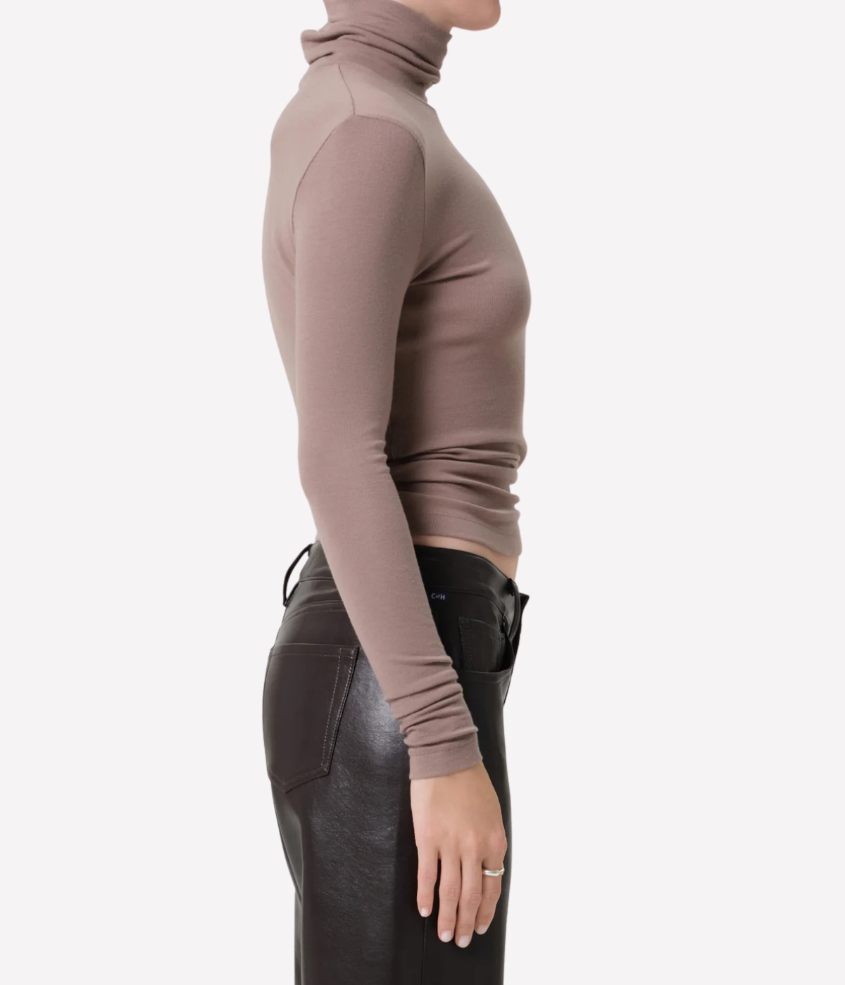 Caradene Turtleneck In Cocoa