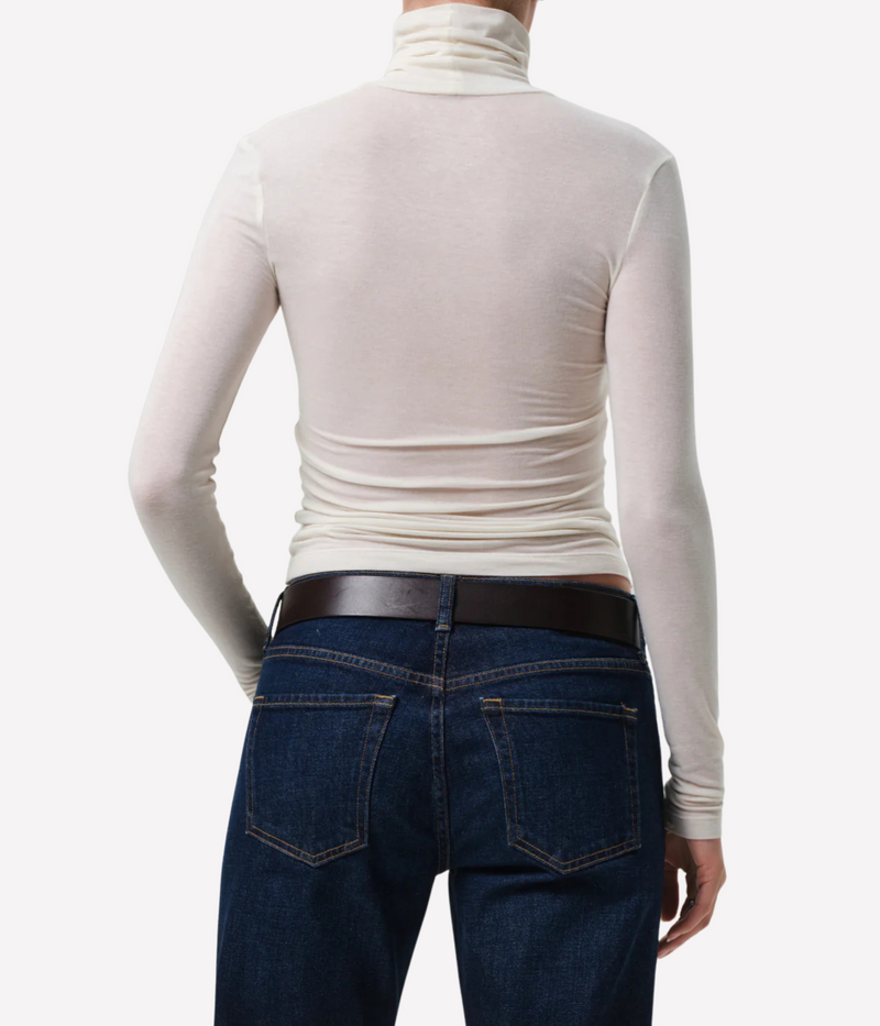 Caradene Turtleneck In Pashmina