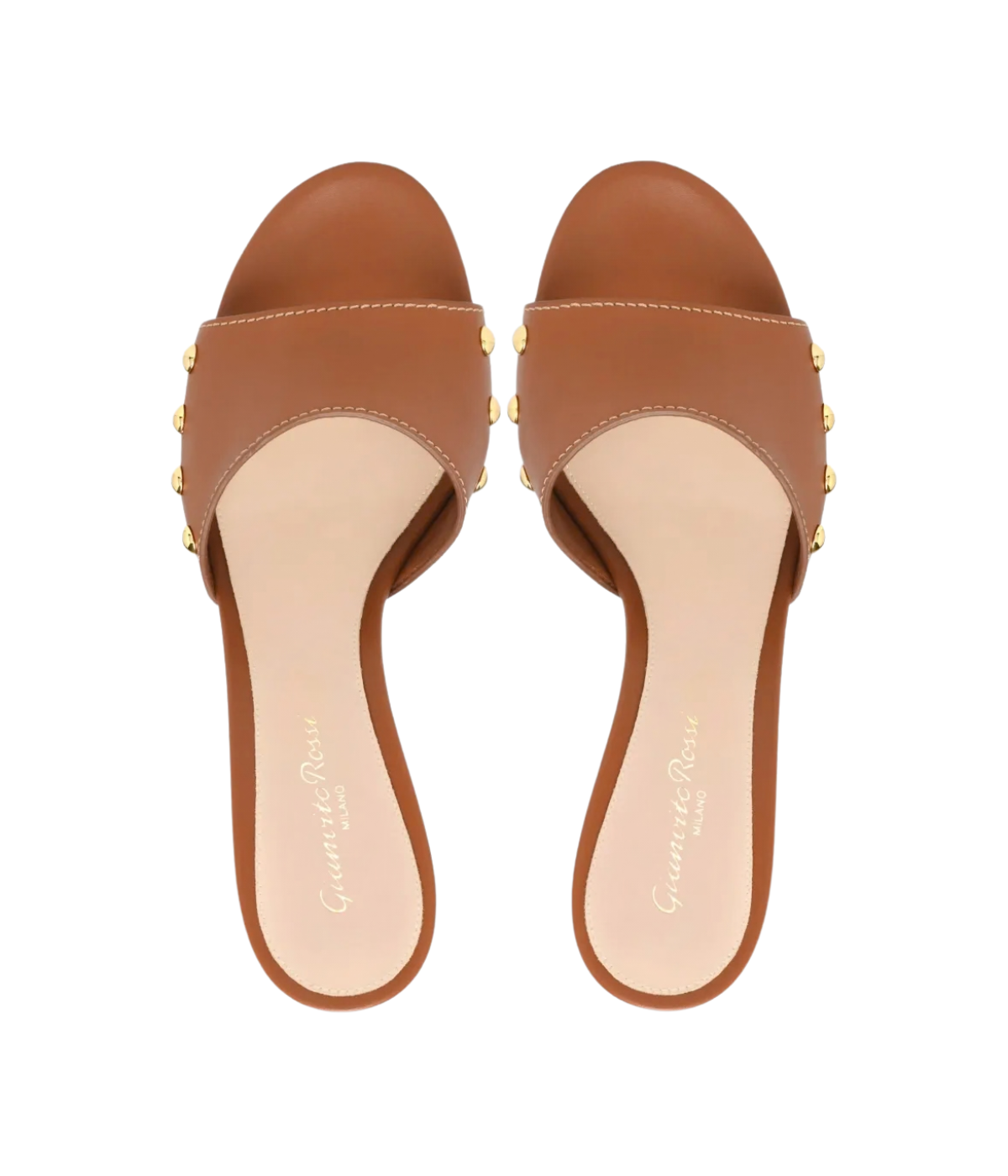 Avelin Mule in SEDONA