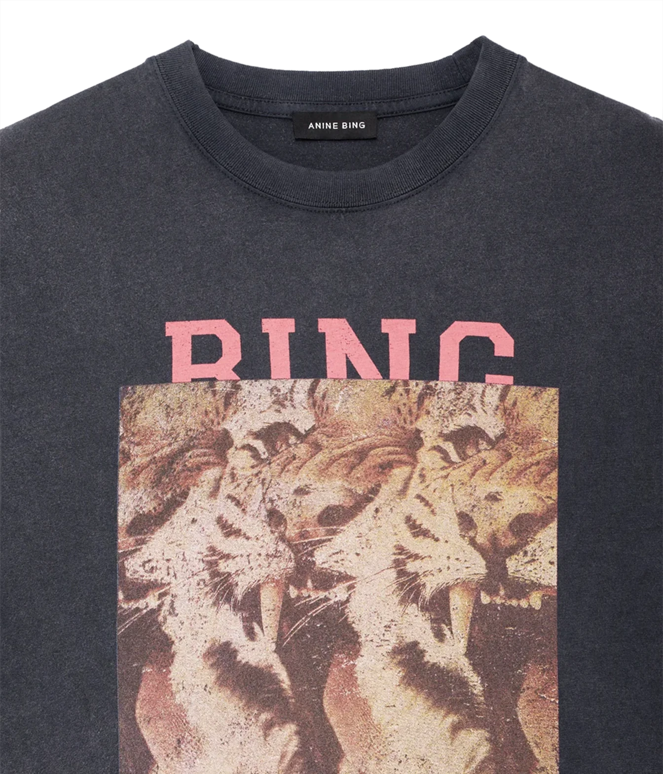 Close-up of a dark charcoal gray t-shirt featuring a pink 'RING' text graphic and a distressed vintage-style print of roaring lions on the front, with the brand name 'ANINE BING' visible on the inner neck label.