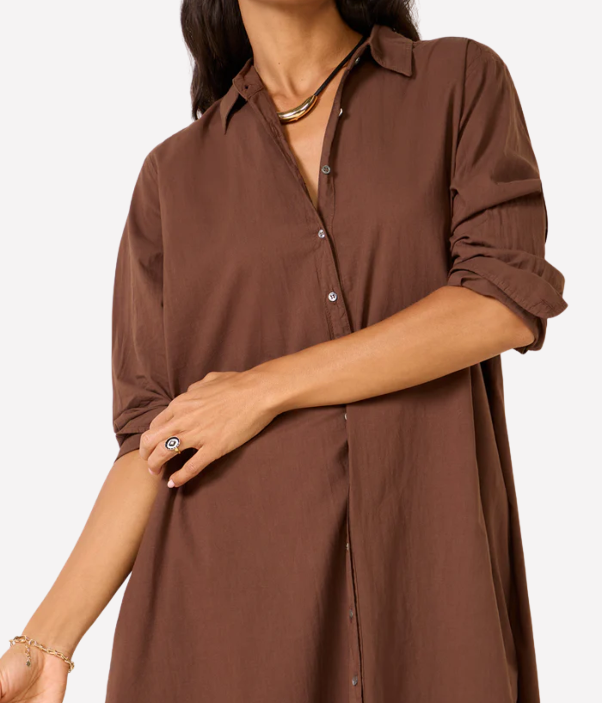 Boden Dress in Stallion
