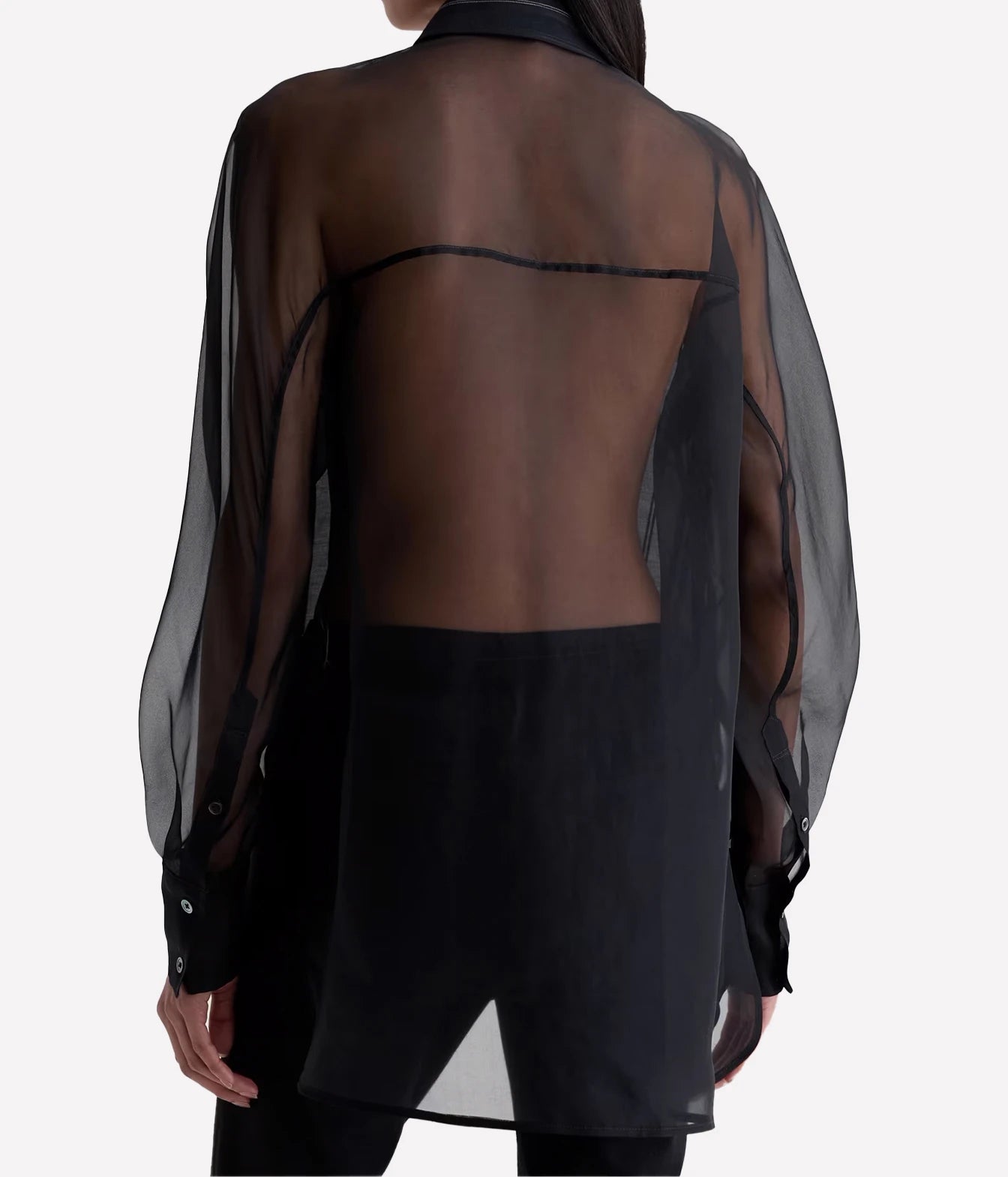 A model shown from the back wearing a sheer black long-sleeve blouse over a black dress, set against a plain light gray studio background.