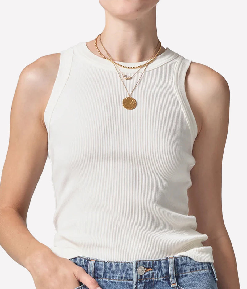 Isabel Rib Tank In Pashmina