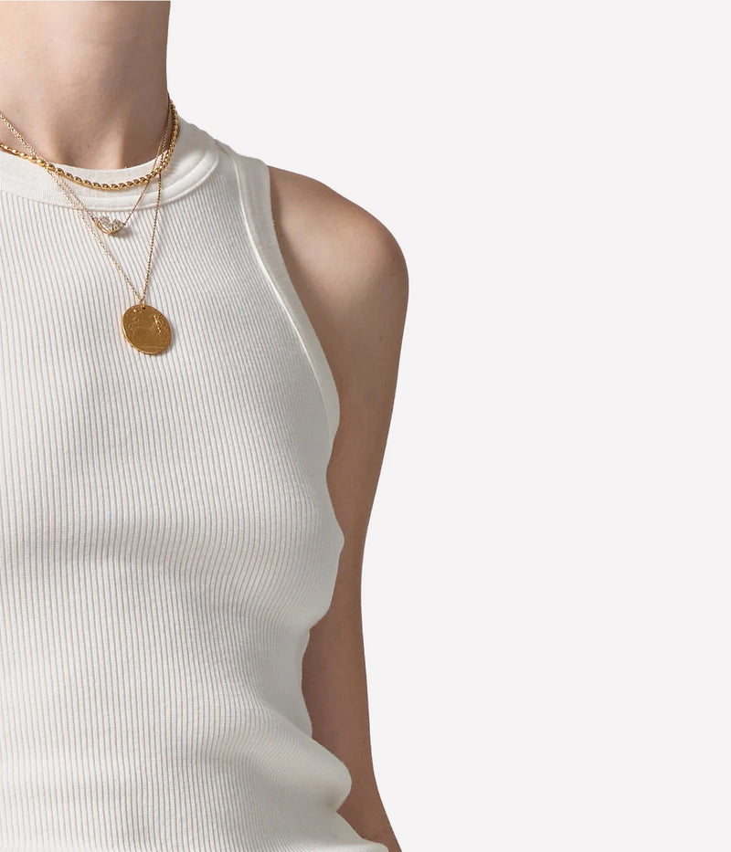 Isabel Rib Tank In Pashmina