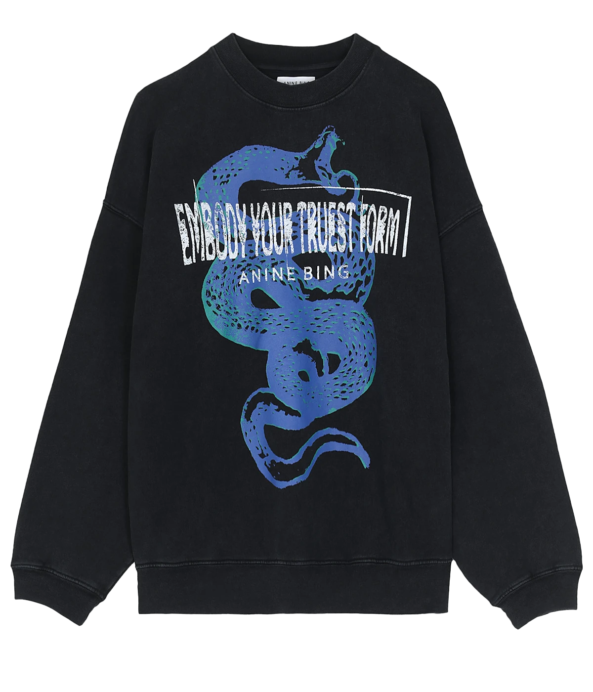Jaci Sweatshirt Twisted Snake in Washed Black