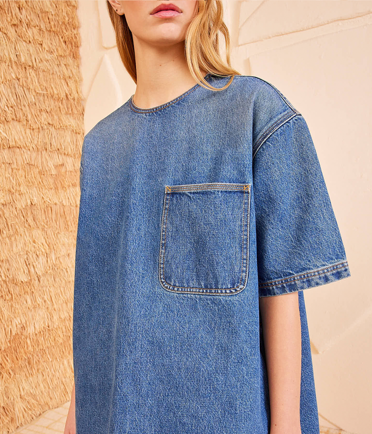 Joan Tunic Dress in Danube