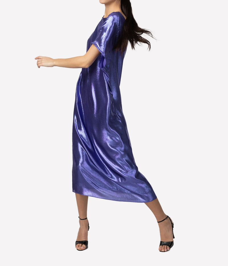 Goldaming Dress In Purple