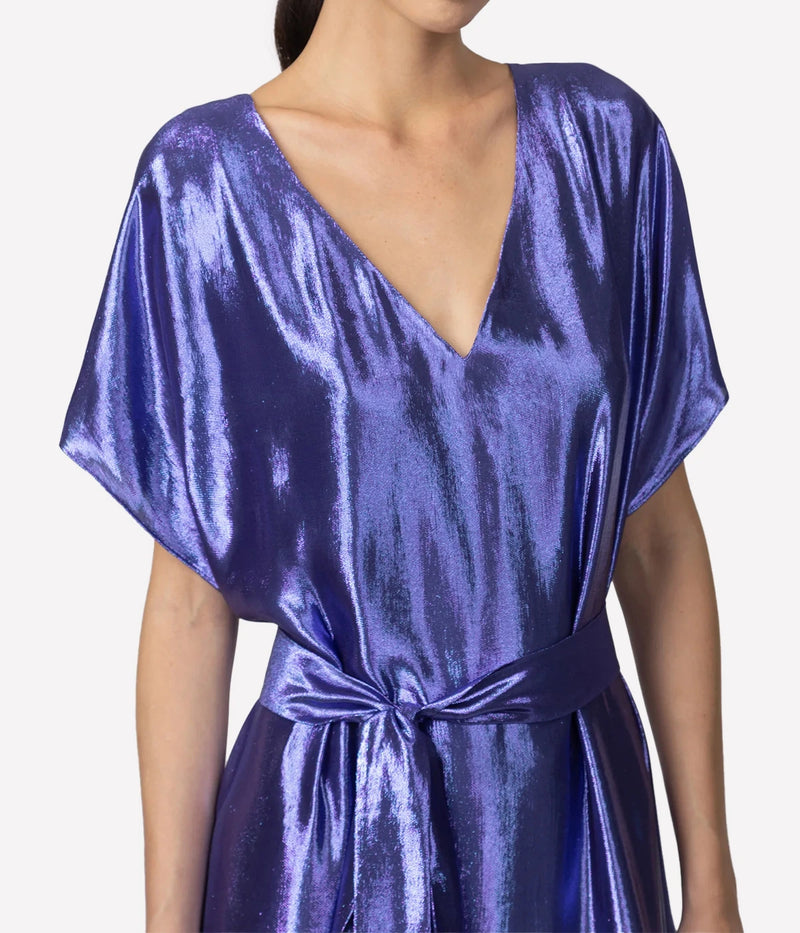 Goldaming Dress In Purple