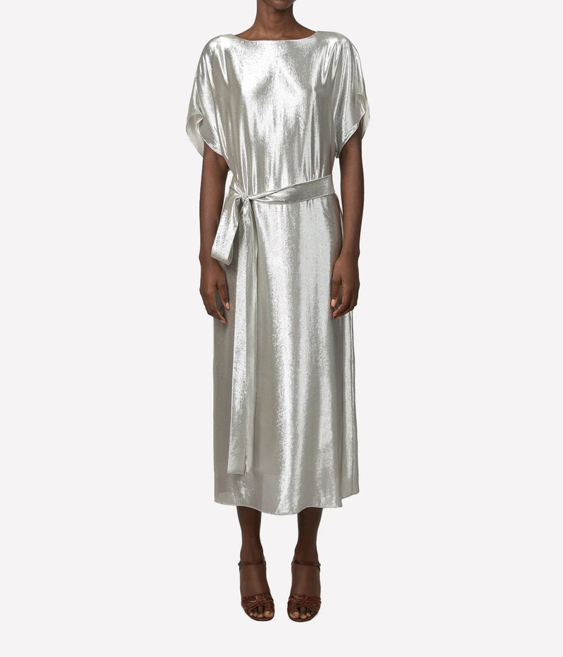 Goldaming Dress In Silver