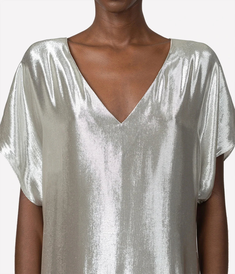 Goldaming Dress In Silver
