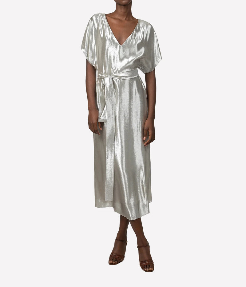 Goldaming Dress In Silver