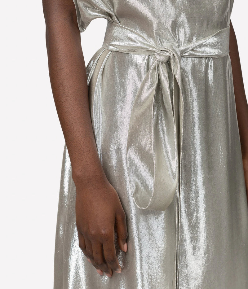 Goldaming Dress In Silver