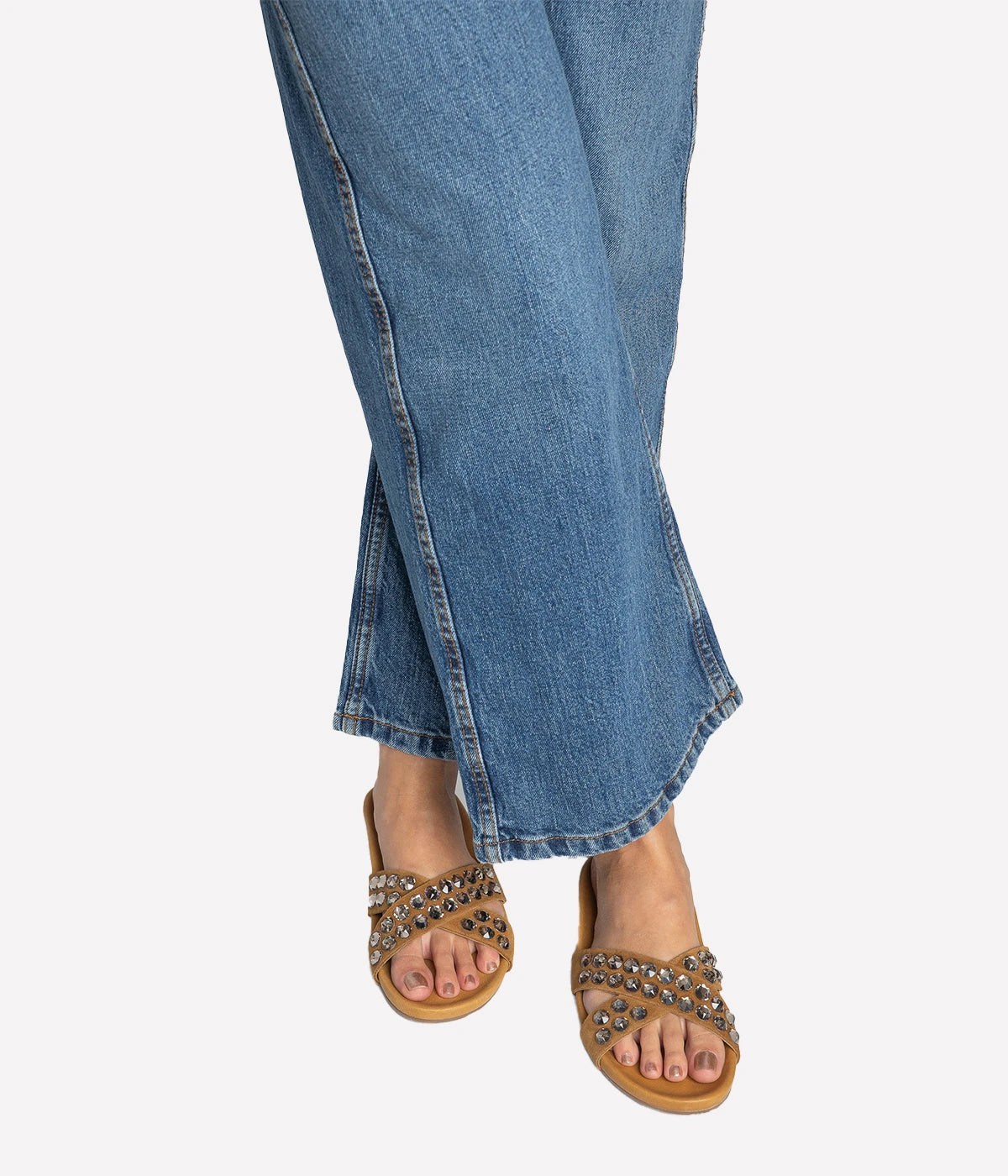 Analis in Aplaca Castoro