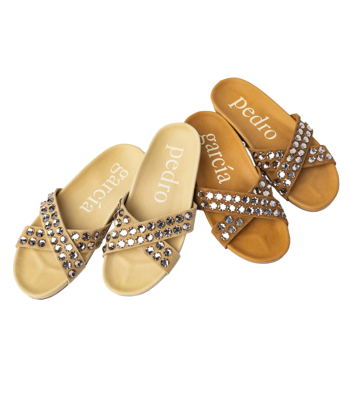 Analis in Aplaca Castoro