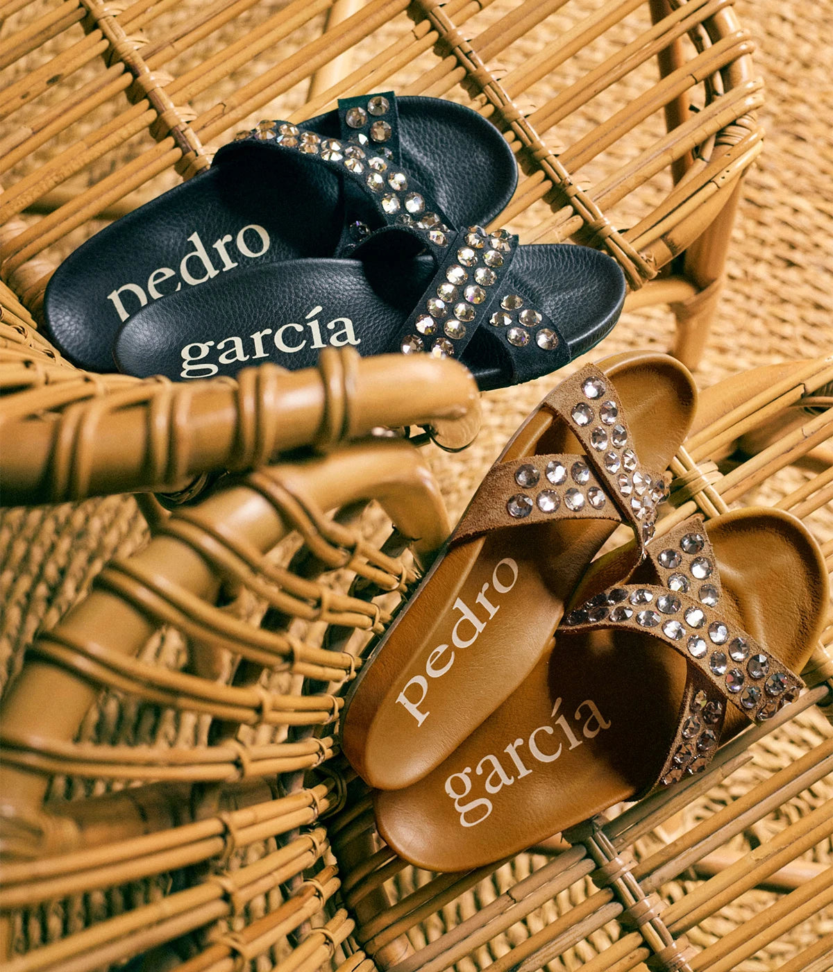 Analis in Aplaca Castoro