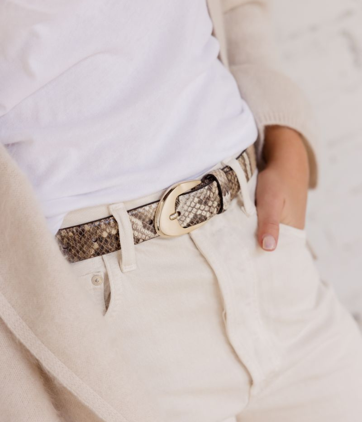 Birkin Belt in Brown