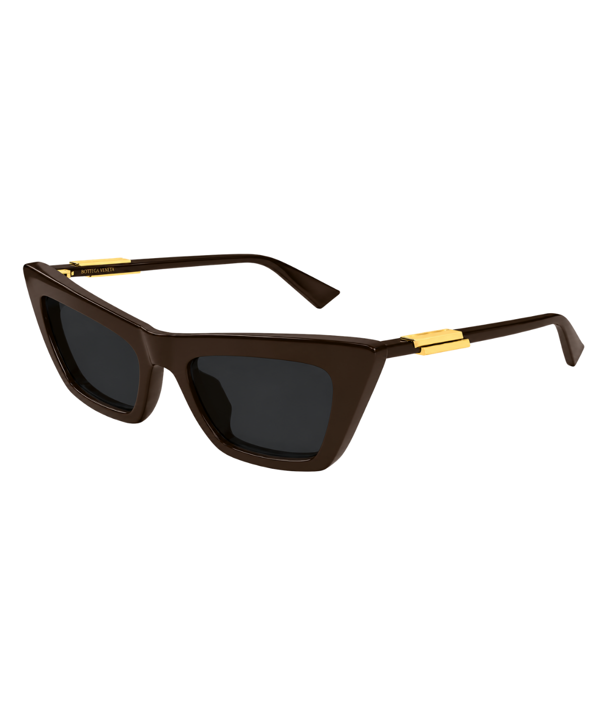 Cat Eye Sunglasses in Brown