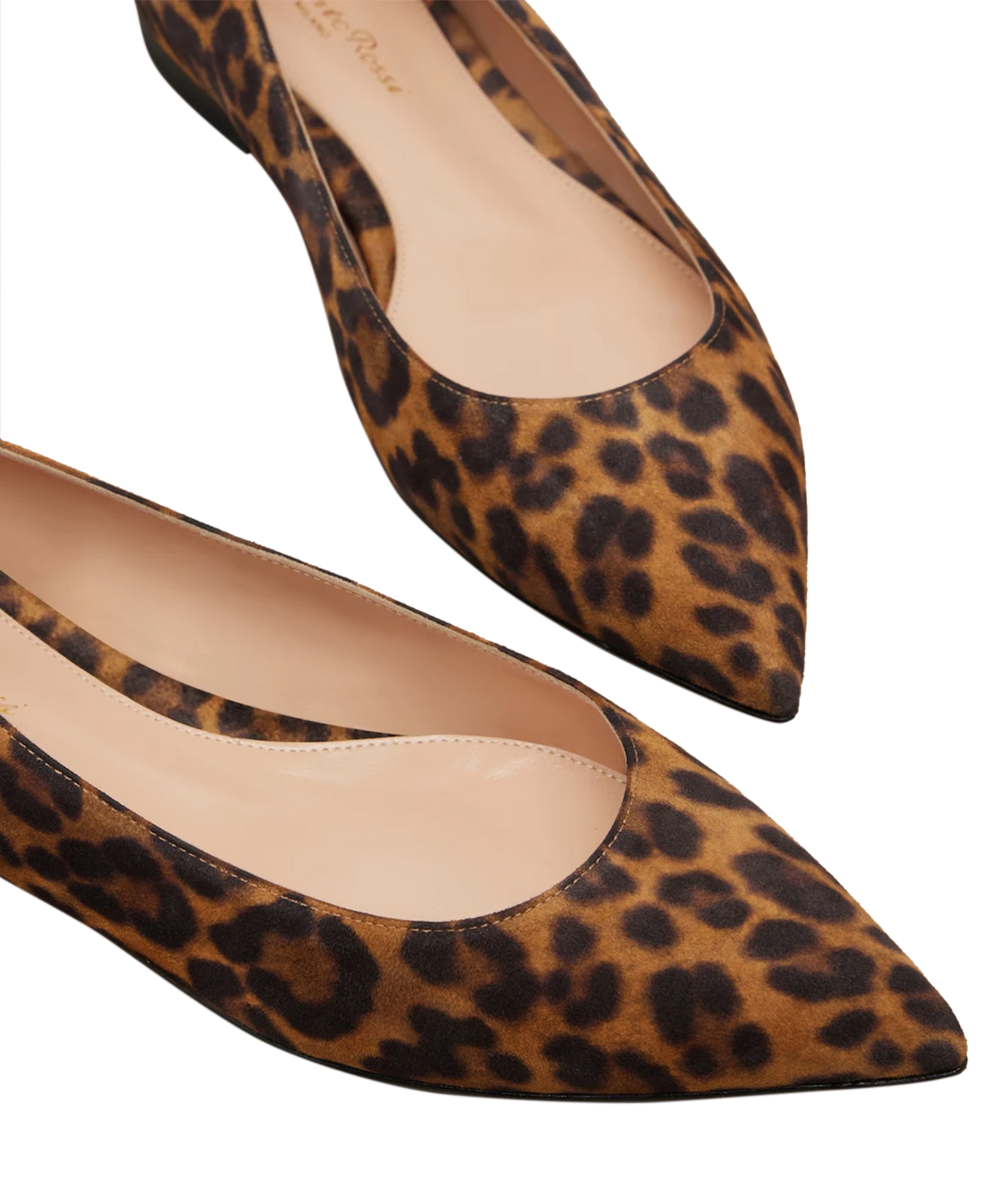 Close-up of the Gianvito Rossi Gianvito Flat in Suede Leopard from above, showing the leopard-print suede, pointed toes and nude leather lining